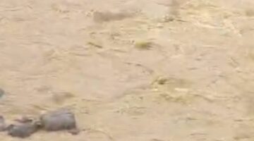 Anton Diduga Kuasai Dua Ekskavator PETI di Hutan Lindung Kipek dan Media Direspon Arogan