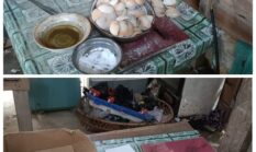 PETI Diduga Berjalan Masif di Inhu: Emas 0,5 Kg Per Hari, Libatkan Oknum Aparat?