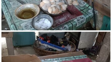 PETI Diduga Berjalan Masif di Inhu: Emas 0,5 Kg Per Hari, Libatkan Oknum Aparat?