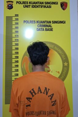 Tim Elang Kuantan Ringkus Pengedar Sabu di Pulau Aro, 9 Paket Diamankan