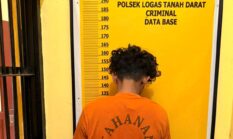 Diduga Curi TBS Sawit, Seorang Pemuda Diamankan Polsek Logas Tanah Darat