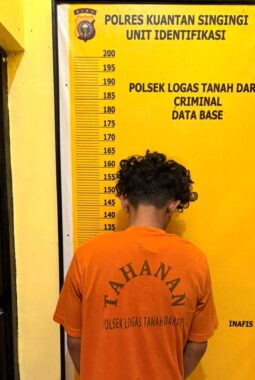 Diduga Curi TBS Sawit, Seorang Pemuda Diamankan Polsek Logas Tanah Darat