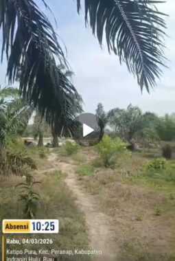 Nama Oknum Kades Disebut Warga, PETI di Katipo Pura dan Semelinang Tebing Diduga Berjalan Bebas