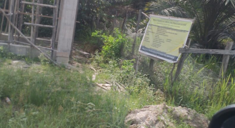 foto slider headline