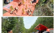 Polsek Singingi Hilir Tangani Penemuan Kerangka Manusia di Areal PT RAPP