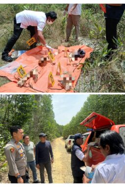 Polsek Singingi Hilir Tangani Penemuan Kerangka Manusia di Areal PT RAPP