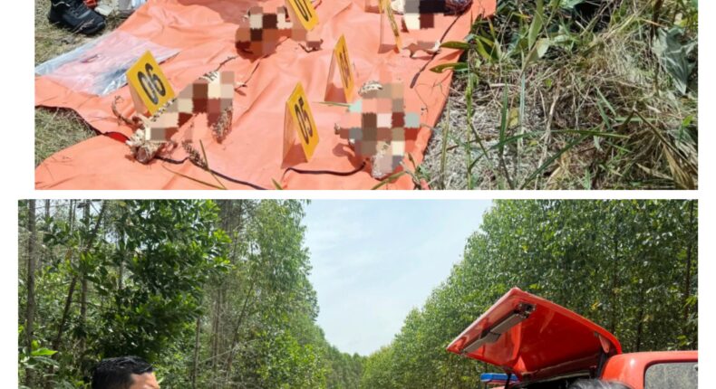 foto slider headline