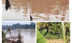 Pasca Aksi Warga Tolak PETI, Aktivitas Tambang Ilegal Masih Menggila – Masyarakat Soroti Keseriusan Kapolsek Cerenti