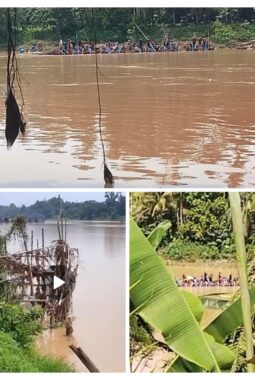 Pasca Aksi Warga Tolak PETI, Aktivitas Tambang Ilegal Masih Menggila – Masyarakat Soroti Keseriusan Kapolsek Cerenti