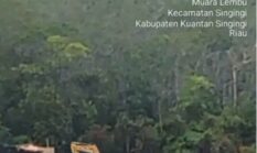 Tambang Ilegal Menggurita di Singingi–Singingi Hilir, Alat Berat dan Jaringan Pendukung Disorot.