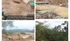 PETI Menggila di Muara Lembu, Tiga Ekskavator Beroperasi di Belakang Timbangan dan Bawah Puskesmas