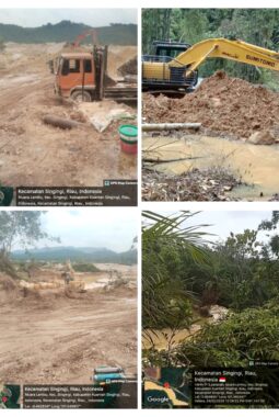 PETI Menggila di Muara Lembu, Tiga Ekskavator Beroperasi di Belakang Timbangan dan Bawah Puskesmas