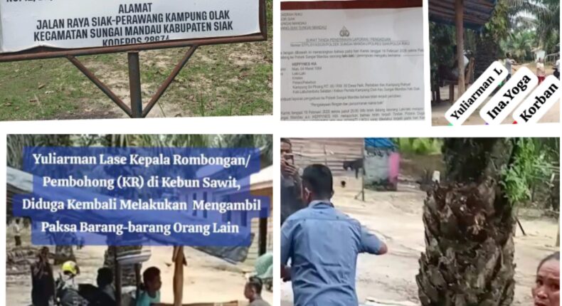 foto slider headline