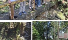 Forkopimda Kuansing Tinjau Air Terjun Guruh Gemurai, Pastikan Kesiapan Pengamanan Wisata