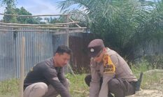 Polsek Jajaran Polres Kuansing Gencar Lakukan Penghijauan, Wujud Nyata Green Policing