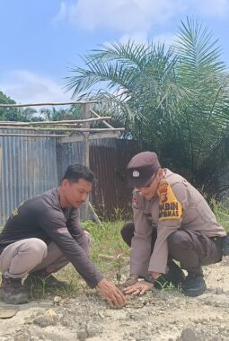 Polsek Jajaran Polres Kuansing Gencar Lakukan Penghijauan, Wujud Nyata Green Policing