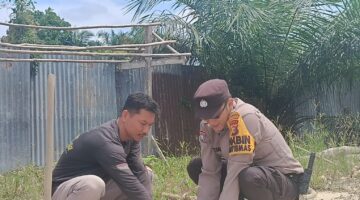 Polsek Jajaran Polres Kuansing Gencar Lakukan Penghijauan, Wujud Nyata Green Policing