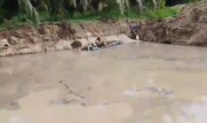 Aktivitas PETI Stingkai di Belakang Kantor Pemda Kuansing Kian Meresahkan, APH Diminta Bertindak Tegas