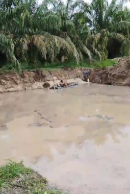 Aktivitas PETI Stingkai di Belakang Kantor Pemda Kuansing Kian Meresahkan, APH Diminta Bertindak Tegas