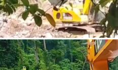 Aktivitas PETI Gunakan Ekskavator di Pasaman Kembali Dilaporkan, Diduga Terkait Suprima alias Dimas Motor