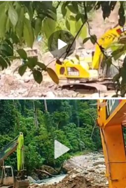 Aktivitas PETI Gunakan Ekskavator di Pasaman Kembali Dilaporkan, Diduga Terkait Suprima alias Dimas Motor