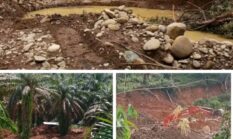 PETI Menggila di Pasaman Barat, Alam Rusak dan Aliran Sungai Keruh