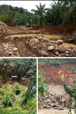 PETI Menggila di Pasaman Barat, Alam Rusak dan Aliran Sungai Keruh