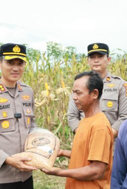 Polisi Cinta Petani, Kapolres Kuansing Bersama Kelompok Tani Panen Raya 21 Ton Jagung Pipil
