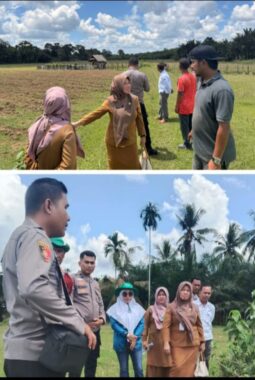 Kapolsek Cerenti Cek Lahan 6 Hektare untuk Dukung Ketahanan Pangan Nasional