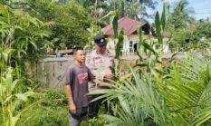 Polsek Hulu Kuantan Cek Perkembangan Tanaman Jagung Ketahanan Pangan di Desa Tanjung