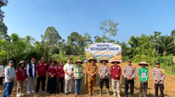 Polsek Kuantan Hilir Tanam Jagung Pipil di Desa Kampung Madura, Dukung Program ASTA CITA Presiden
