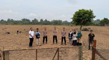 Polsek Cerenti Bergerak Dukung Asta Cita Presiden, Desa Sikakak Siap Jadi Lahan Ketahanan Pangan Jagung Pipil