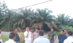 Camat Singingi Minta Pembangunan Tower BTS Telkomsel di Kebun Lado Dihentikan Sementara