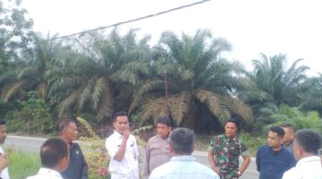 Camat Singingi Minta Pembangunan Tower BTS Telkomsel di Kebun Lado Dihentikan Sementara