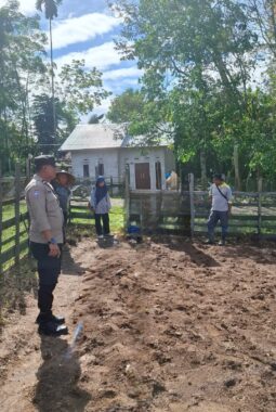 Polsek Benai Dukung Ketahanan Pangan, Persiapkan Penanaman Jagung Pipil di Desa Simandolak