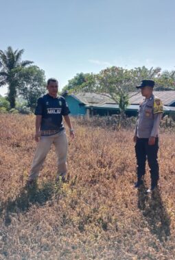 POLSEK BENAI KOORDINASIKAN RENCANA PENANAMAN JAGUNG PIPIL DI DESA PULAU LANCANG