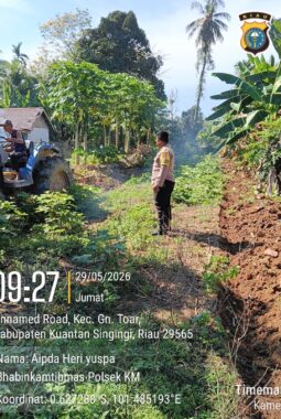 Polisi Cinta Petani, Polsek Kuantan Mudik Cek Penggemburan Lahan Tanaman Jagung di Desa Teluk Beringin