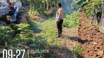 Polisi Cinta Petani, Polsek Kuantan Mudik Cek Penggemburan Lahan Tanaman Jagung di Desa Teluk Beringin