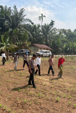 Kapolsek Cerenti Cek Lahan Ketahanan Pangan di Desa Sikakak, Pertumbuhan Jagung Pipil Tunjukkan Hasil Positif