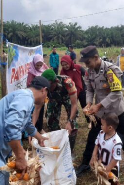 Dukung ketahanan pangan, Bhabinkamtibmas Polsek Singingi Hilir ikut panen jagung bersama warga