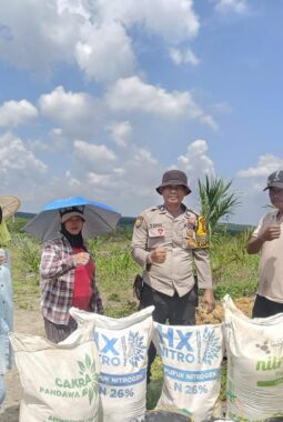 Polsek Singingi Hilir Serahkan Bantuan Pupuk kepada Kelompok Tani Rukun Sentosa untuk Dukung Program Ketahanan Pangan Jagung Pipil