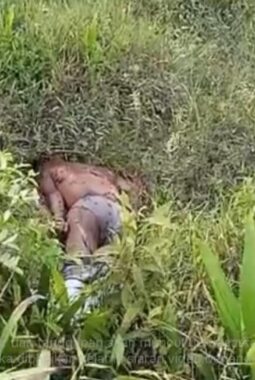 Sesosok Mayat Pria Ditemukan di Muaro Tiu, Diduga Karyawan PT KTBM