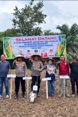PENANAMAN JAGUNG PIPIL BUMDes Maju Bersama DESA PESIKAIAN DUKUNG PROGRAM SWASEMBADA PANGAN APBD TAHUN 2026