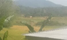 Belum lama berduka, PETI Menggunakan Alat Berat kembali beroperasi, ada yang melindungi?