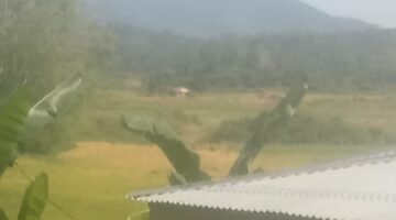 Belum lama berduka, PETI Menggunakan Alat Berat kembali beroperasi, ada yang melindungi?
