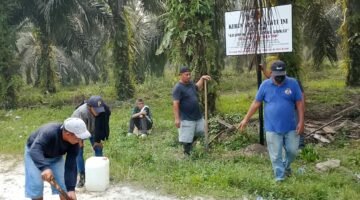 Puluhan Tahun Menggarap, Kini Kembali Memiliki: Kelompok Tani 80 Sumber Berkah Pulihkan Kebun, Kuasa Hukum Tegaskan Bukan Main Hakim Sendiri