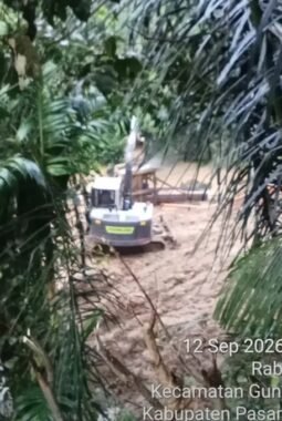 Alat berat dan box penyaring emas beroperasi di belakang kampung Silagawen Menek Pasaman Barat, warga resah desak Kapolda Sumbar turun langsung