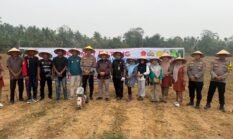 Polres Kuansing Dukung Asta Cita Presiden, Tanam Jagung Pipil di Enam Desa Kecamatan Cerenti
